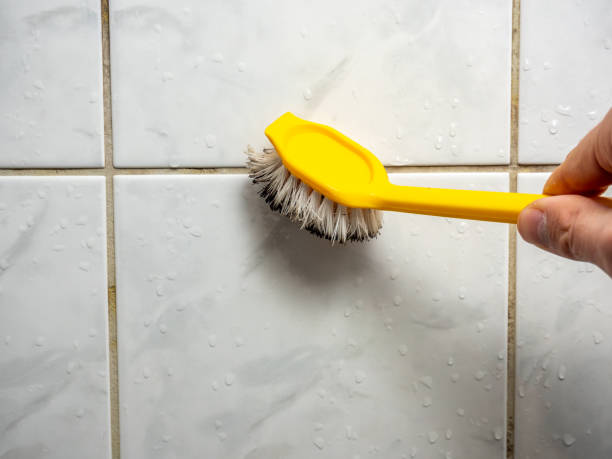 Best Certified Mold Removal  in Yarmouth Port, MA