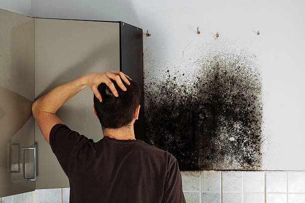 Best Office Mold Removal Services  in Yarmouth Port, MA